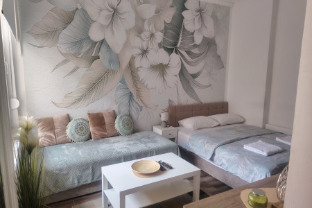 Studio Apartment Magnolia Belgrade Center