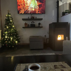 apartmani zlatibor okolno mesto apartman vila qolden queen zlatibor19