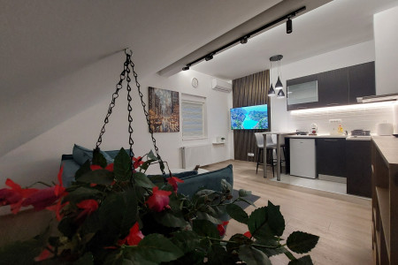 apartments beograd centar apartment zevs apartmani jakovo2