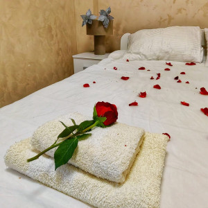 apartments beograd centar apartment steco 37