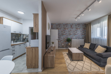 Two Bedroom Apartment Borca 3 Belgrade Palilula
