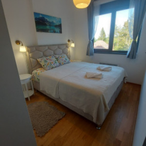 apartmani zlatibor planina apartman jelena 6211