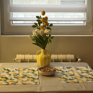 apartments beograd centar apartment apartman angela zemun 32
