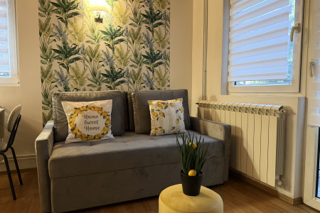 apartmani beograd centar apartman apartman angela zemun 34