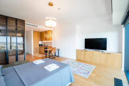 Studio Apartment West Tower 10 Belgrade Novi Beograd