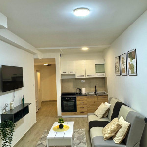 Two Bedroom Apartment TNB 1 Belgrade Savski Venac