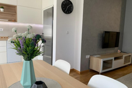 apartmani novi sad rotkvarija apartman kraljev park6
