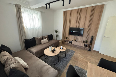apartmani beograd vracar apartman rafaelo5