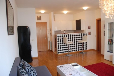 apartmani beograd centar apartman rent to buy or just rent5