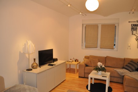 apartmani beograd vracar apartman biljananikola apartment5