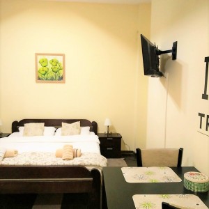 apartments belgrade centar apartment la boheme petit7
