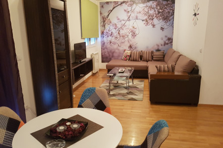 apartmani beograd vozdovac apartman orhideja6