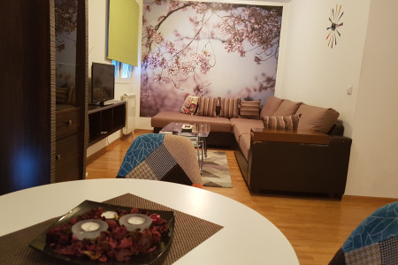 apartmani beograd vozdovac apartman orhideja7