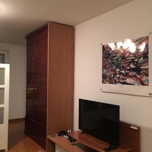 apartments belgrade novi beograd apartment mahagoni4