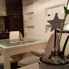 apartmani beograd zvezdara apartman silver star zvezdara3