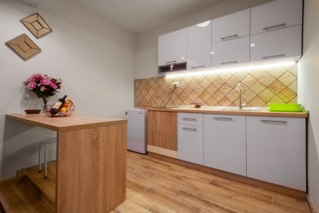 apartmani beograd centar apartman ruski car3