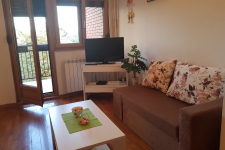 apartmani beograd palilula apartman studio apartment leonida5