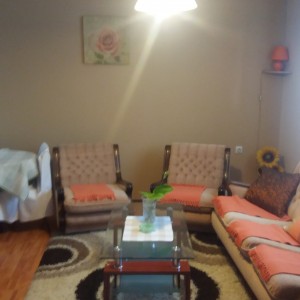 apartmani beograd palilula apartman trinka14