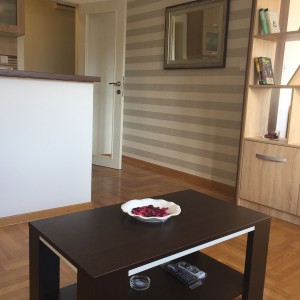 apartmani beograd zvezdara apartman dimitri2
