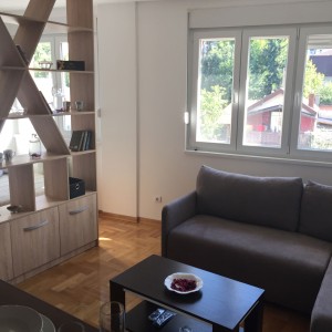 apartmani beograd zvezdara apartman dimitri3