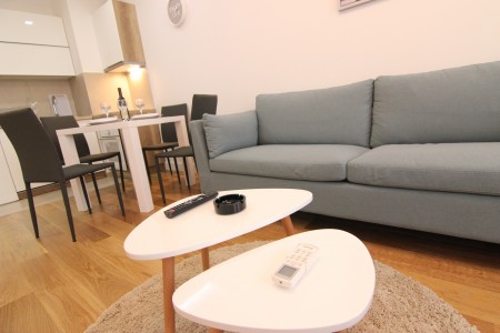 apartments belgrade novi beograd apartment apartman tara10