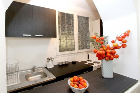 apartments belgrade centar apartment dana5