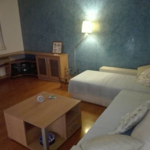 apartmani beograd novi beograd apartman institut4