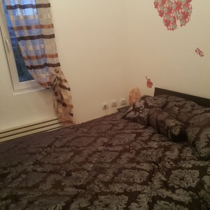 apartmani beograd centar apartman 0116