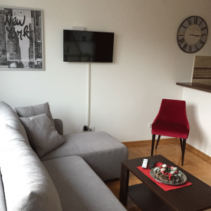 apartmani beograd zvezdara apartman dimitri 15