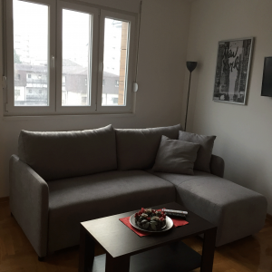 apartmani beograd zvezdara apartman dimitri 16