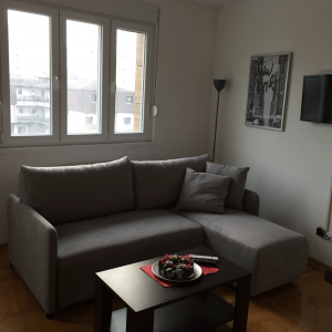 apartmani beograd zvezdara apartman dimitri 19