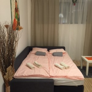 apartmani beograd vracar apartman nalu vracar5