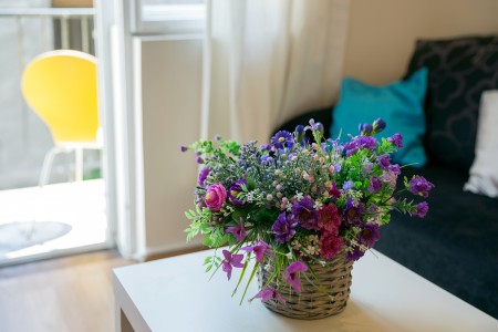 apartmani beograd centar apartman hana5