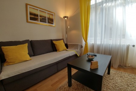 apartmani beograd centar apartman pasic apartman3