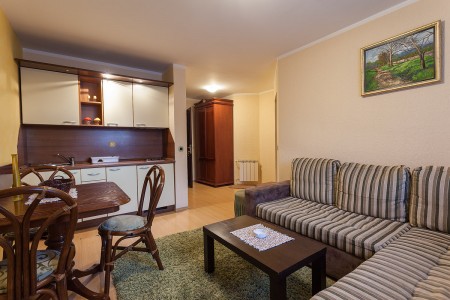 apartmani beograd planina apartman vila borova lux2