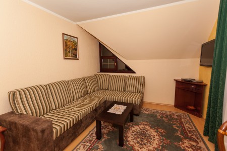 apartmani beograd planina apartman vila borova lux7