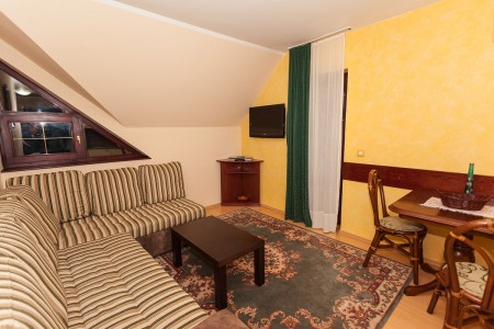 apartmani beograd planina apartman vila borova lux8