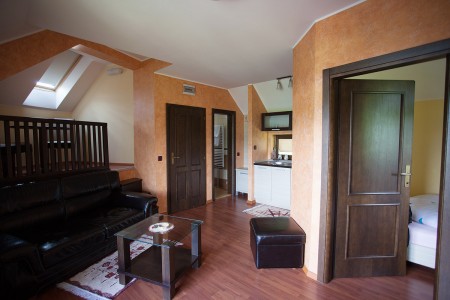 apartmani beograd planina apartman vila borova 1