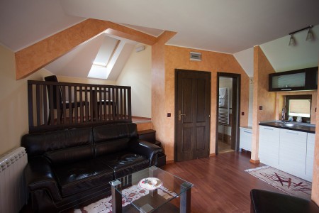 apartmani beograd planina apartman vila borova 12