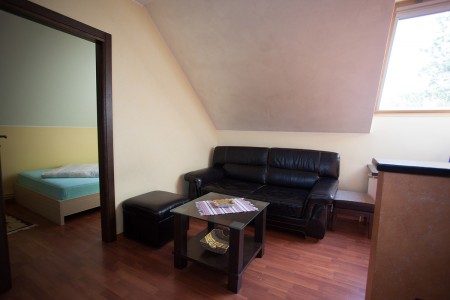 apartmani beograd planina apartman vila borova 22