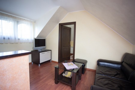 apartmani beograd planina apartman vila borova 23