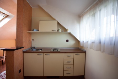 apartmani beograd planina apartman vila borova 25