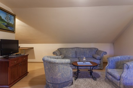 apartmani beograd planina apartman vila borova