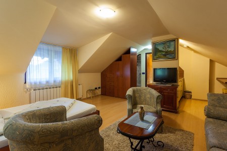 apartmani beograd planina apartman vila borova3