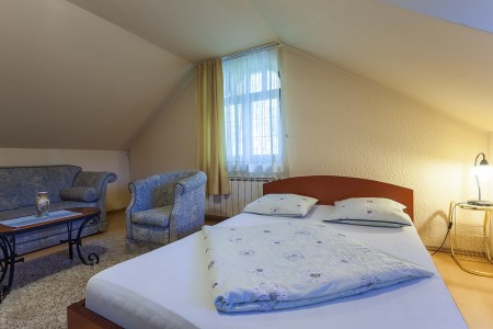 apartmani beograd planina apartman vila borova4