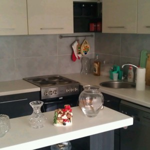 apartmani beograd zemun apartman flush royal