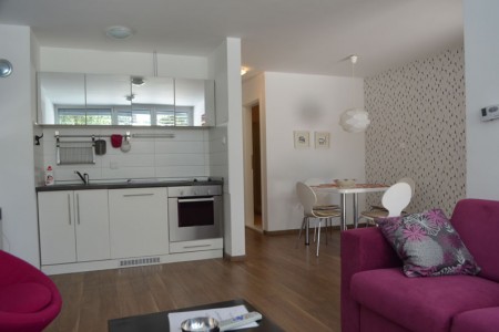 apartmani beograd planina apartman ljubicasti2