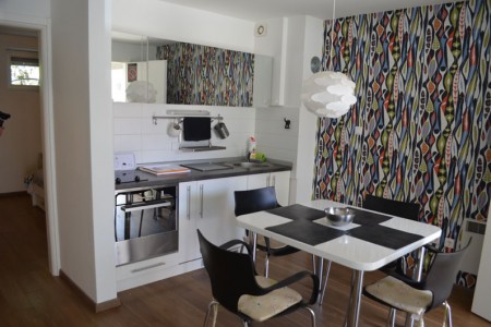 apartmani beograd planina apartman crni2