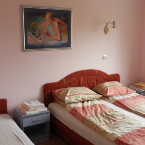 apartmani beograd planina apartman dama 23
