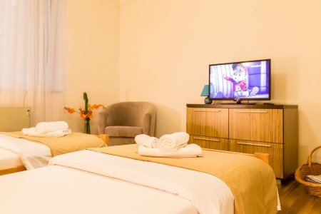 apartmani beograd vracar apartman dreaming12